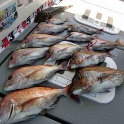 遊漁船 セトマリン 釣果