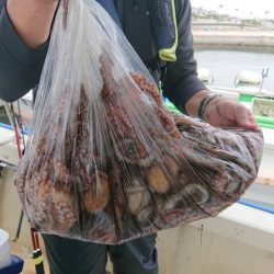 たかみ丸 釣果