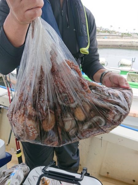 たかみ丸 釣果