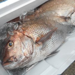 こうゆう丸 釣果