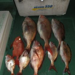 第二むつ漁丸 釣果