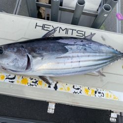 へいみつ丸 釣果