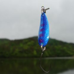 フィッシングレイクたかみや 釣果