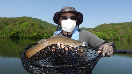フィッシングレイクたかみや 釣果