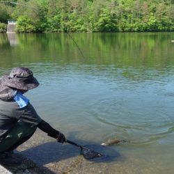 フィッシングレイクたかみや 釣果