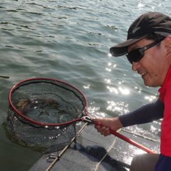 フィッシングレイクたかみや 釣果