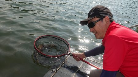 フィッシングレイクたかみや 釣果