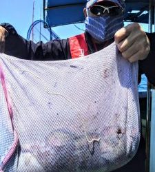 恵比寿丸(兵庫) 釣果