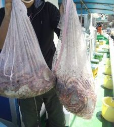 恵比寿丸(兵庫) 釣果