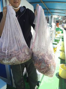 恵比寿丸(兵庫) 釣果