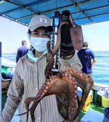 恵比寿丸(兵庫) 釣果