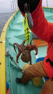 KONAYAーMARU(こなや丸) 釣果