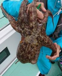 KONAYAーMARU(こなや丸) 釣果