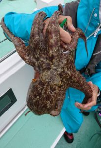 KONAYAーMARU(こなや丸) 釣果