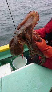 KONAYAーMARU(こなや丸) 釣果