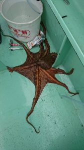 ＫＯＮＡＹＡｰＭＡＲＵ（こなや丸） 釣果