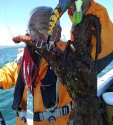 恵比寿丸(兵庫) 釣果