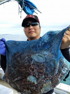 恵比寿丸(兵庫) 釣果