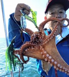 恵比寿丸(兵庫) 釣果