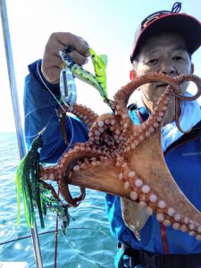 恵比寿丸(兵庫) 釣果