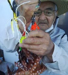 恵比寿丸(兵庫) 釣果