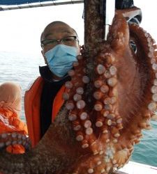 恵比寿丸（兵庫） 釣果