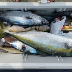 第五慶門丸 釣果