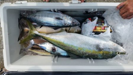 第五慶門丸 釣果