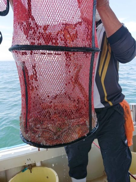 たかみ丸 釣果
