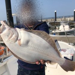 Magic（マジック） 釣果