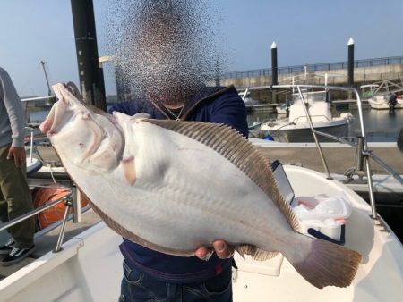 Magic（マジック） 釣果