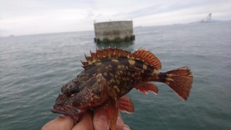 キャロダートでデイゲーム