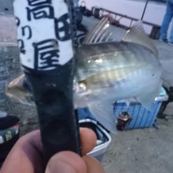 久しぶりの淡路島