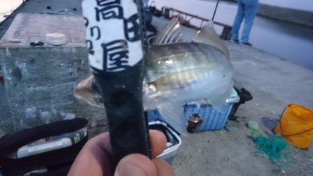 久しぶりの淡路島