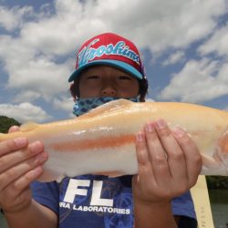 フィッシングレイクたかみや 釣果