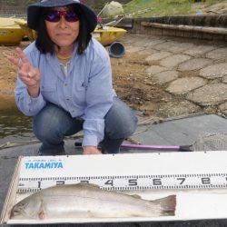 フィッシングレイクたかみや 釣果