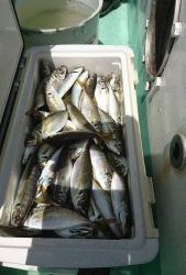 ＫＯＮＡＹＡｰＭＡＲＵ（こなや丸） 釣果