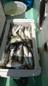 ＫＯＮＡＹＡｰＭＡＲＵ（こなや丸） 釣果