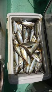 ＫＯＮＡＹＡｰＭＡＲＵ（こなや丸） 釣果