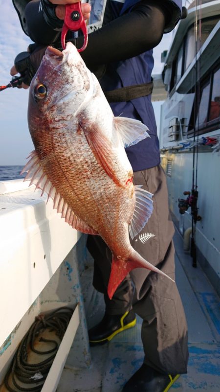 だて丸 釣果