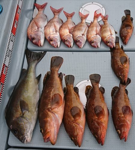 遊漁船 家入 釣果