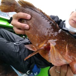 小島丸 釣果