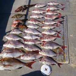 FISHING RISKY 釣果