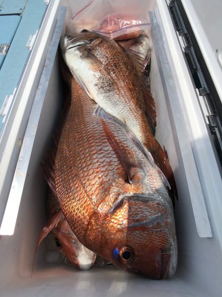 第二八坂丸 釣果