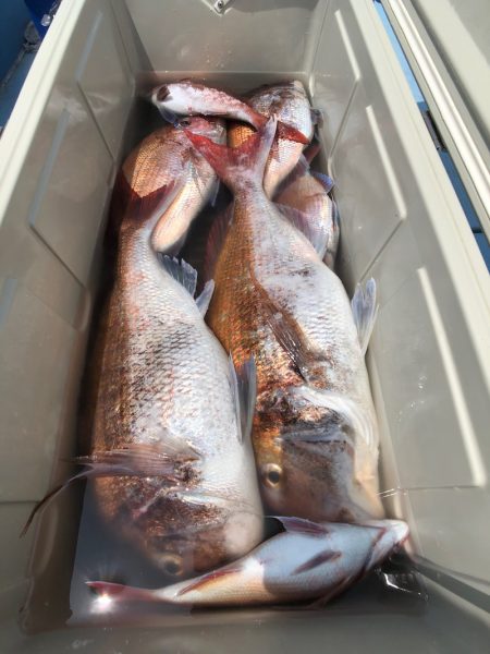 第二八坂丸 釣果