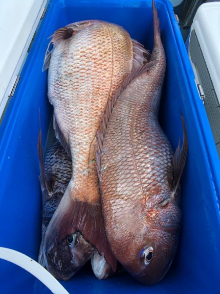 第二八坂丸 釣果