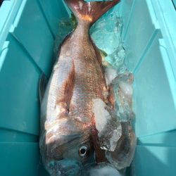 第二八坂丸 釣果