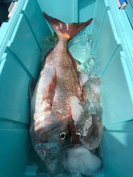 第二八坂丸 釣果