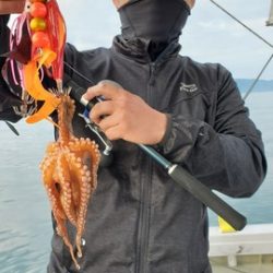 遊漁船 ニライカナイ 釣果