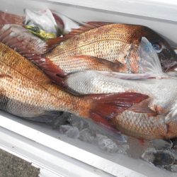 こうゆう丸 釣果